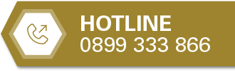 Hotline: +84899333866